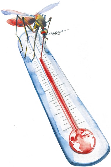 Illustration of mosquito draining blood from a thermometer