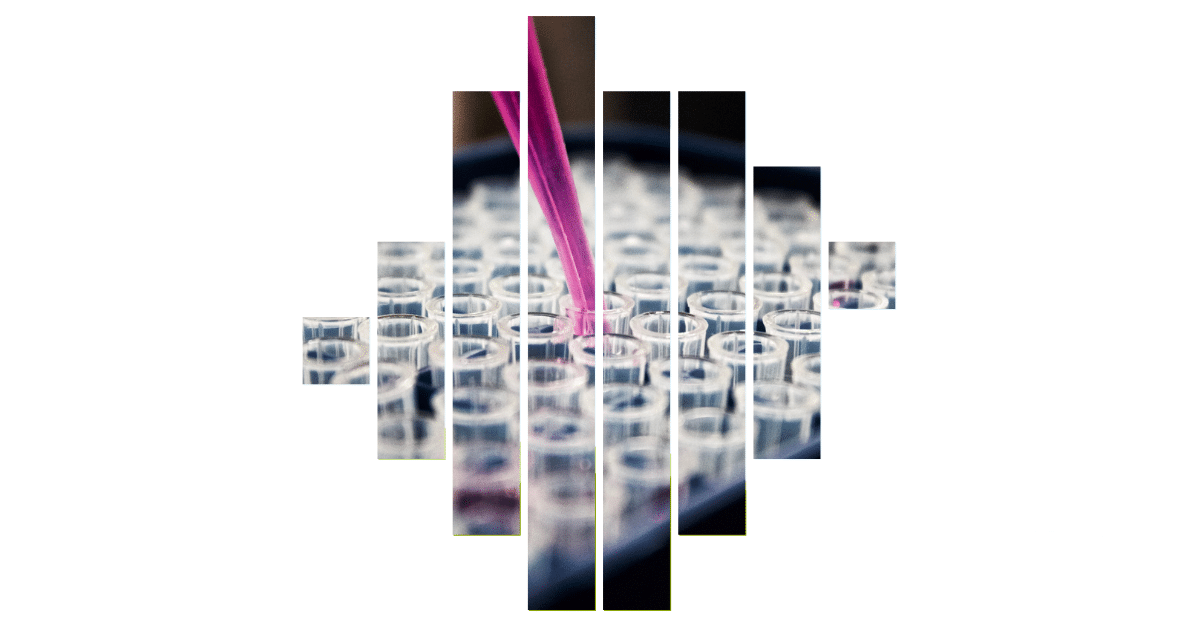 glass lab containers