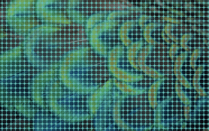 State of Open Data report cover pattern